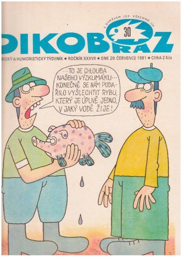 DIKOBRAZ 30,  29. července 1981